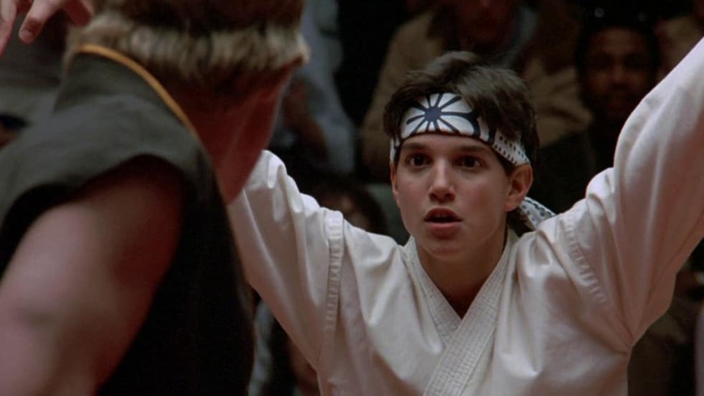 the karate kid netflix series