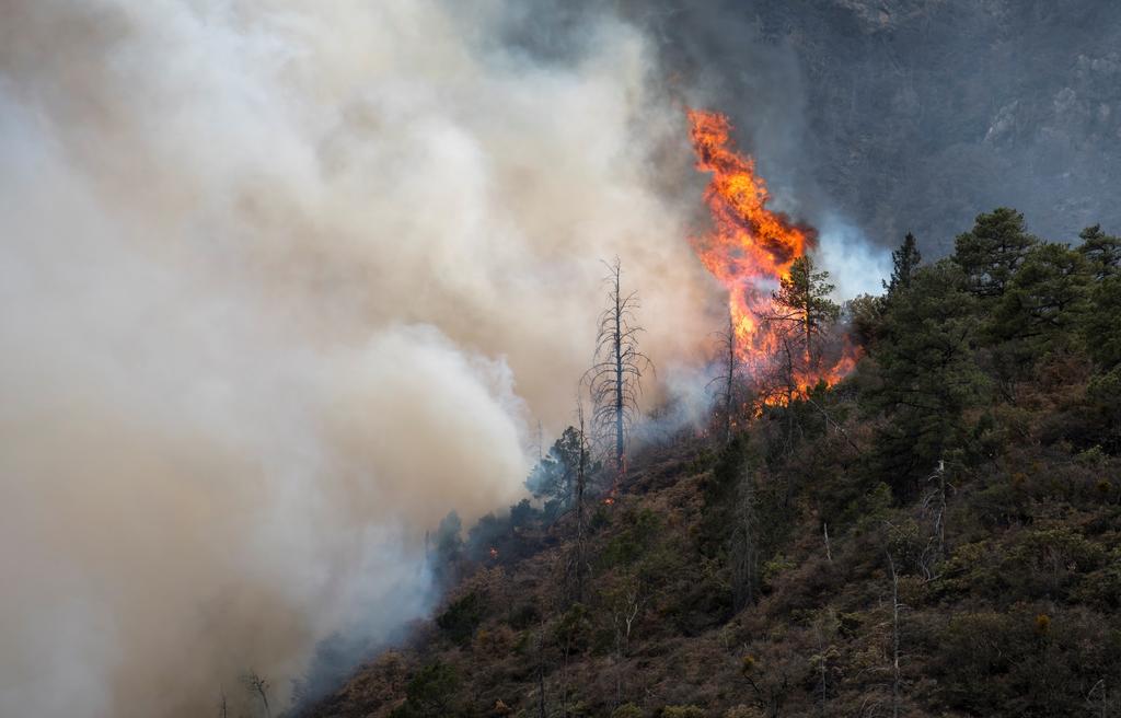 Incendio Forestal En Coahuila Y Nuevo León Acumula 12 Mil Hectáreas Afectadas 6744